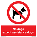 no-dogs-except-assistance-dogs~